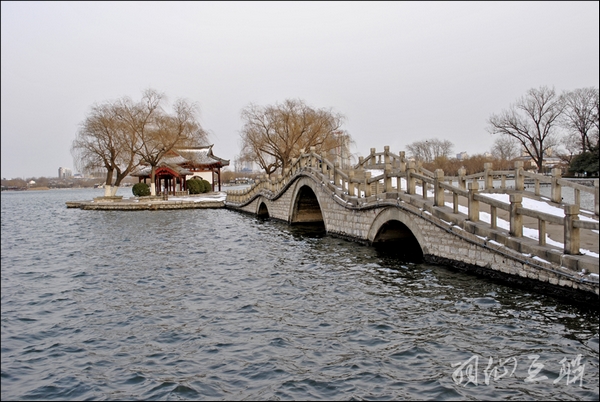 ����ɿ���׼ͼ��