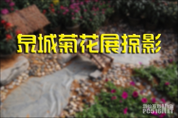 ����ɿ���׼ͼ��